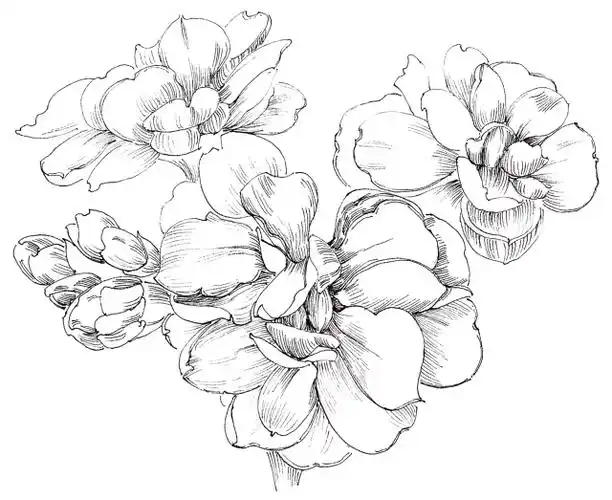 教程丨在纸上盛开的紫罗兰