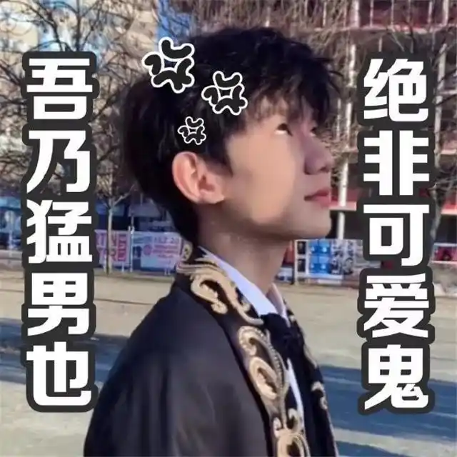 追星女孩必备明星爱豆表情包合集