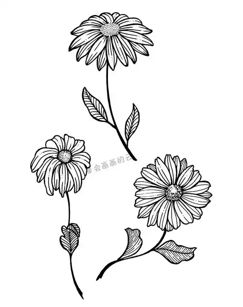 三款适合零基础画的小雏菊简单又好看而且一只中性笔就可以