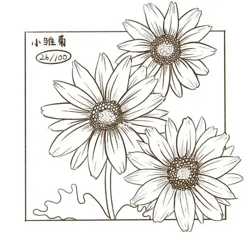 day26小雏菊线稿