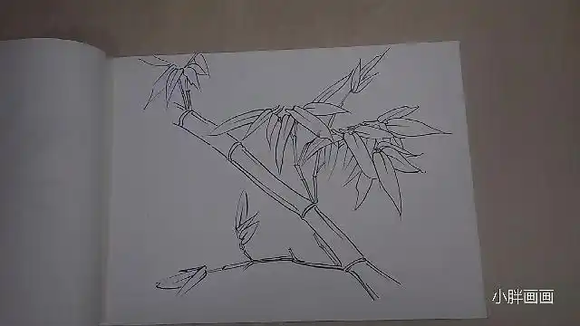 钢笔线描竹子绘画过程简单易学