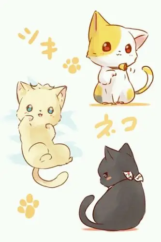 小猫 萌 三小只