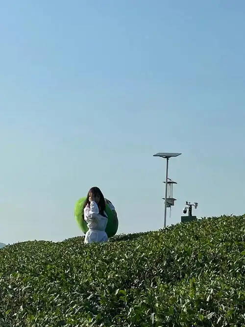 虞书欣两个人的小森林茶园plog,这茶山,美女,风景太美了……__财经